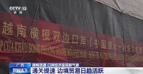 15秒通關！榴蓮快速入境折射口岸經濟新活力，國內貿易代理迎機遇