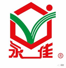 創意飛揚，智造未來——石獅市首屆紙玩大賽圓滿落幕，國內貿易代理企業彰顯創新力量